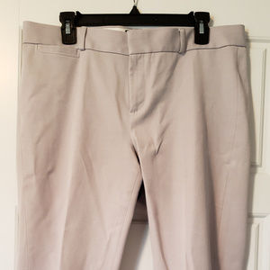 Banana Republic Sloan Fit Size 12